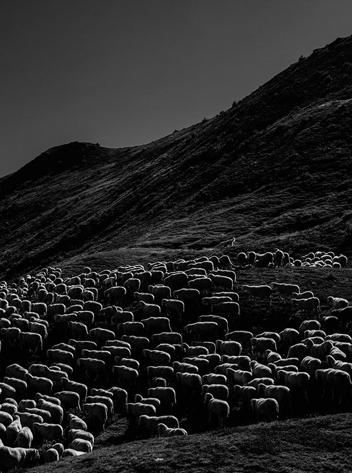 Mostra fotografica Un mondo accanto