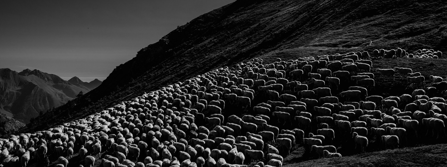 Mostra fotografica 2025 Torino