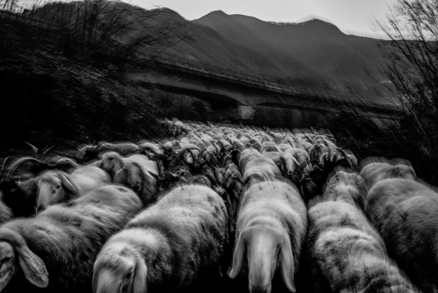 Un mondo accanto reportage