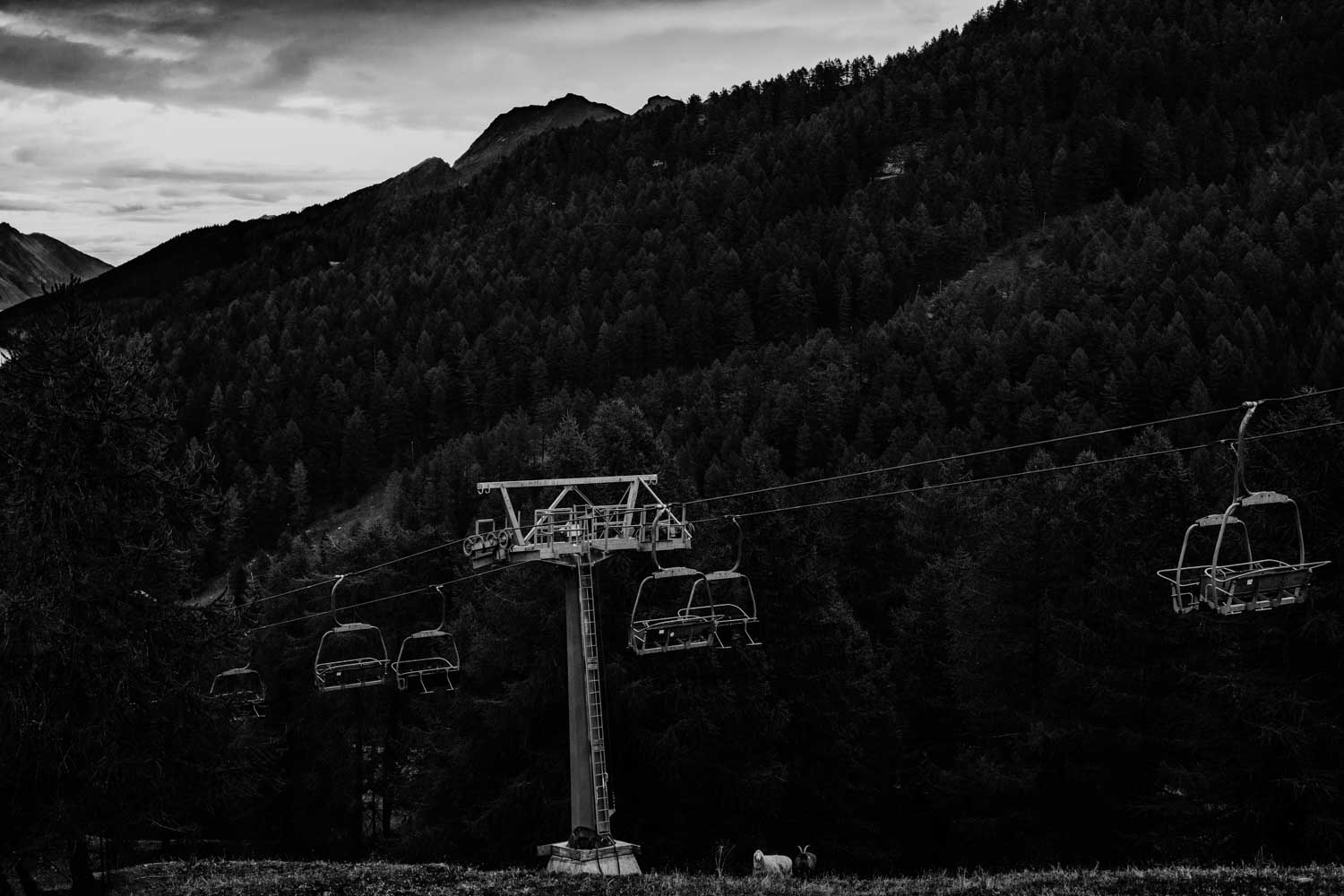 Un mondo accanto reportage