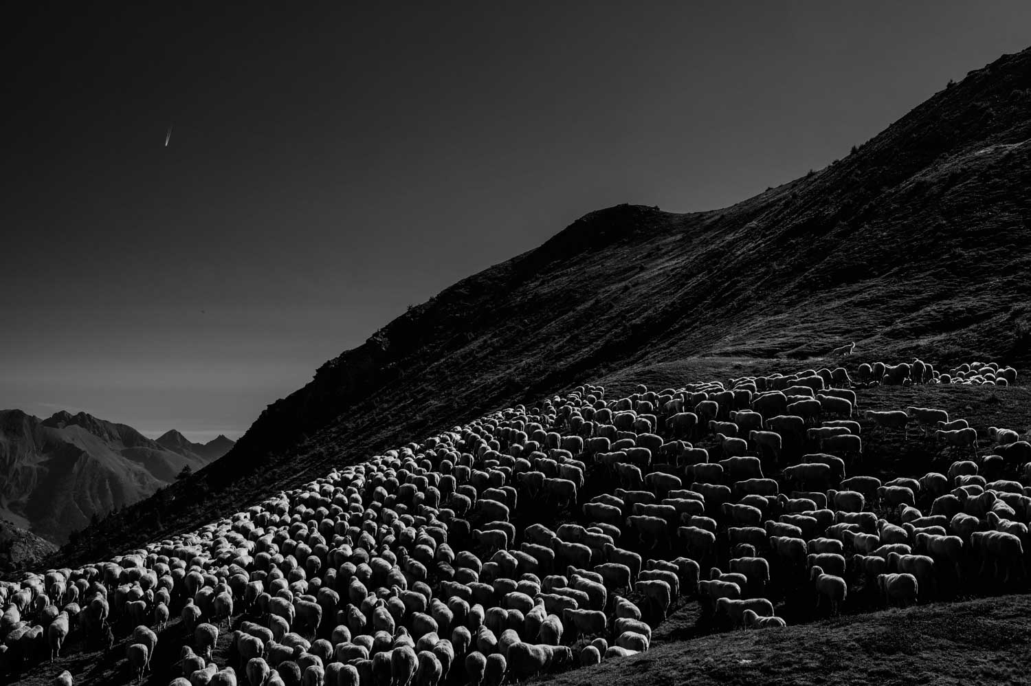 Un mondo accanto reportage