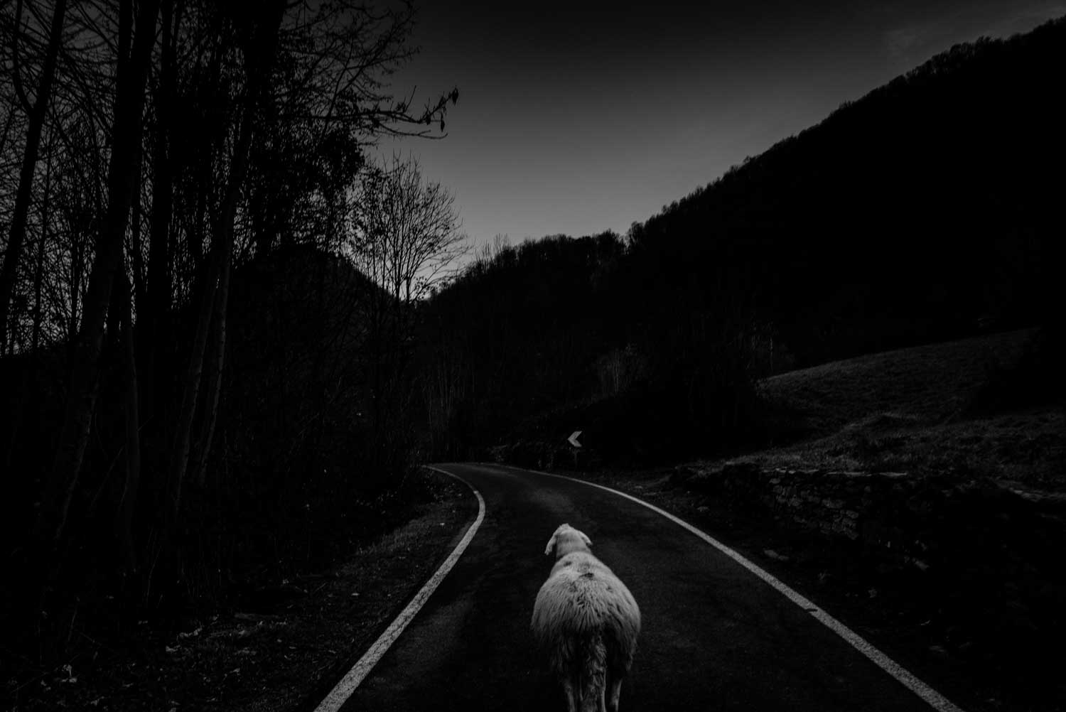 Un mondo accanto reportage