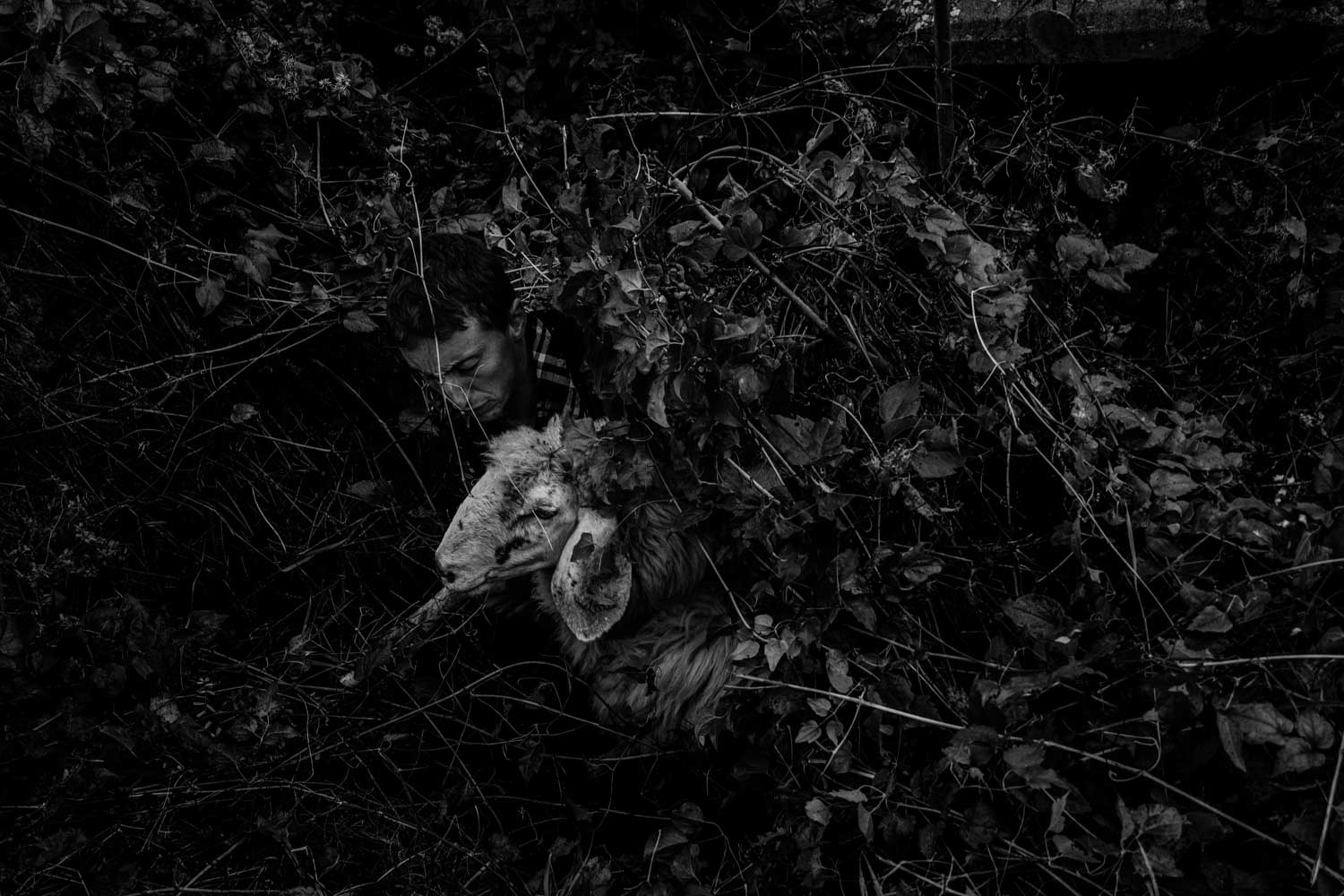 Un mondo accanto reportage