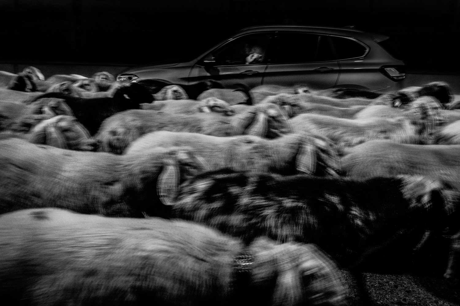 Un mondo accanto reportage